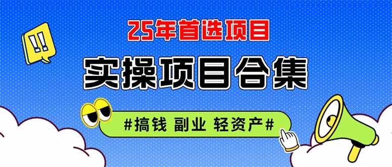 （14767期）2025实操项目合集 挂机类型 直播类型 轻资产创业类型 课程分享各项目介…-占领资源网