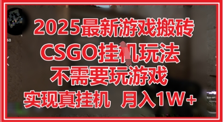 2025最新游戏搬砖，CSGO挂G，不需要玩游戏，实现真挂G，月入1W+【揭秘】-占领资源网