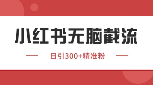 小红书只要你有同行就能获客，独家野路子获客玩法，暴力截流【揭秘】-占领资源网