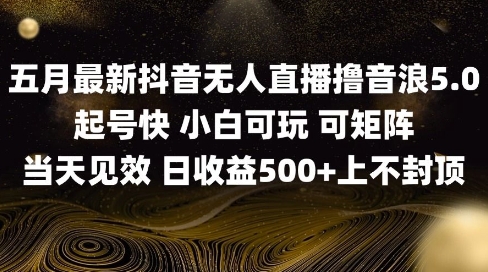 2025五月最新无人直播撸音浪单日产出5张+实操教程【揭秘】-占领资源网