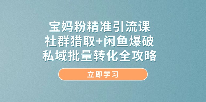 （14820期）宝妈粉精准引流课，社群猎取+闲鱼爆破，私域批量转化全攻略-占领资源网