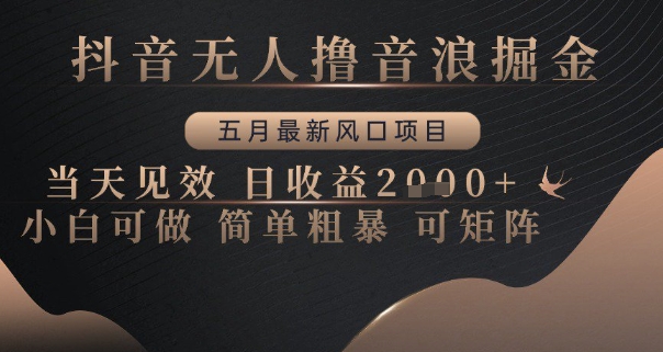 抖音无人撸音浪掘金，五月最新风口项目，当天见效，日收益多张，小白可做简单粗暴可矩阵【揭秘】-占领资源网