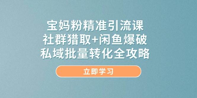 宝妈粉精准引流课，社群猎取+闲鱼爆破，私域批量转化全攻略-占领资源网