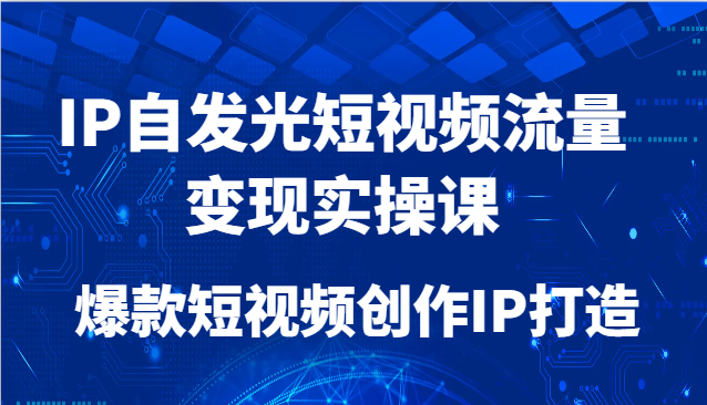 IP自发光短视频流量变现实操课，爆款短视频创作IP打造-占领资源网