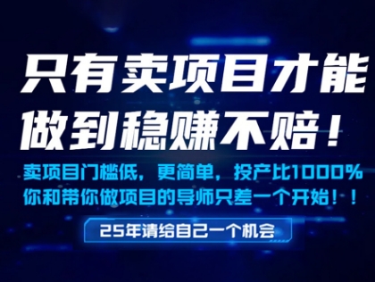 只有卖项目才能做到稳挣不赔，门槛低，更简单，你也可以年入百个W【揭秘】-占领资源网