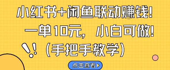 小红书+闲鱼联动挣钱，一单10元，小白可做-占领资源网