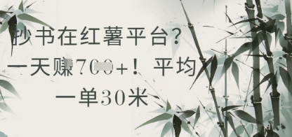 抄书在小红薯平台？平均一单30米，一天收益几张！-占领资源网