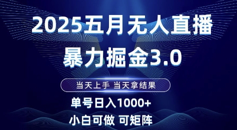 2025五月无人直播暴力掘金3.0，当天上手，当天拿结果，单号日入1k+小白可做可矩阵【揭秘】-占领资源网