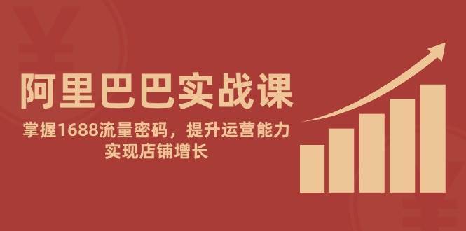 （14830期）阿里巴巴实战课：掌握1688流量密码，提升运营能力，实现店铺增长-占领资源网