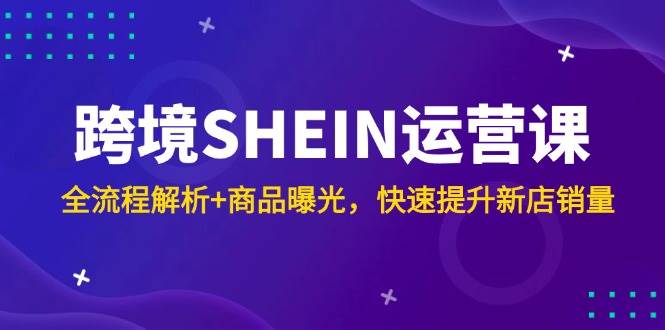 （14832期）跨境SHEIN运营课，全流程解析+商品曝光，快速提升新店销量-占领资源网