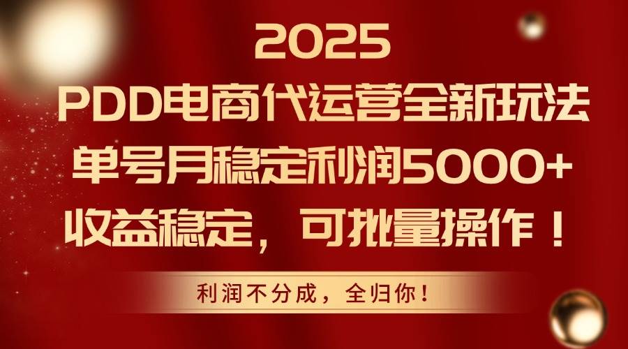 （14839期）2025PDD电商代运营全新玩法，单号月稳定利润5000+，收益稳定，可批量操作-占领资源网