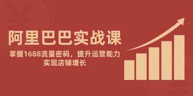 阿里巴巴实战课：掌握1688流量密码，提升运营能力，实现店铺增长-占领资源网