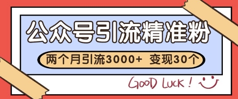 公众号精准粉引流玩法，2个月3000+精准粉，变现30个W【揭秘】-占领资源网