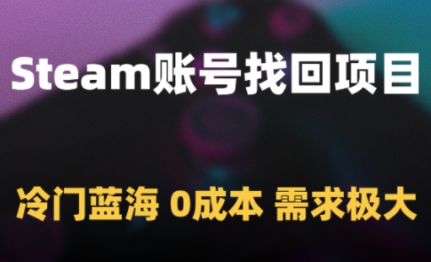 Steam账号找回项目，冷门蓝海，0成本，需求极大-占领资源网