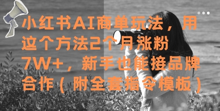 小红书AI商单玩法，用这个方法2个月涨粉7W+，新手也能接品牌合作(附全套指令模板)-占领资源网