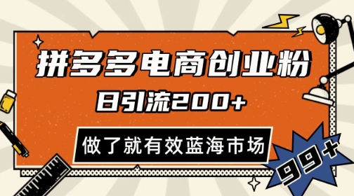 拼多多引流电商创业粉，日引200+，可矩阵放大，做了就有效【揭秘】-占领资源网