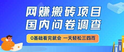 网创搬砖项目，国内问卷调查，小白轻松上手，一天三四张的也不难，干就完了【揭秘】-占领资源网