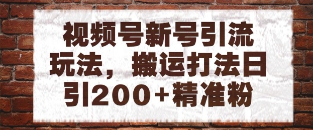 视频号新号引流玩法，搬运打法日引200+精准粉，可矩阵放大【揭秘】-占领资源网