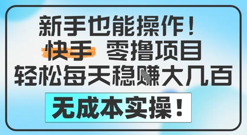 新手也能操作，快手零撸挣米，轻松每天挣2-5张，完全无成本-占领资源网