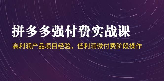 （14874期）拼多多强付费实战课-44期，高利润产品项目经验，低利润微付费阶段操作-占领资源网