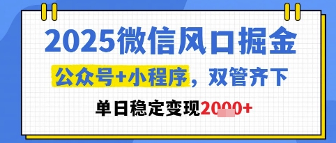 2025微信风口掘金，公众号+小程序双管齐下，单日稳定变现1k+【揭秘】-占领资源网