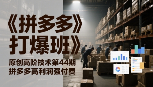 《拼多多打爆班》原创高阶技术第44期，拼多多高利润强付费-占领资源网
