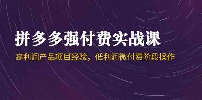 拼多多强付费实战课-44期，高利润产品项目经验，低利润微付费阶段操作-占领资源网