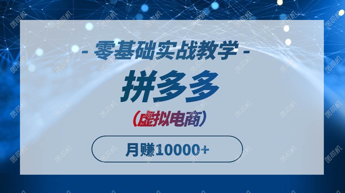 （14880期）拼多多虚拟电商，零基础实战教学，快速打爆商品，新手也能月入10000+-占领资源网