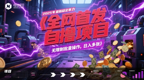 全网首发，2025年最新稳定暴力全自动自撸项目，无限制批量操作，日入多张【揭秘】-占领资源网