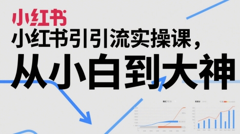 小红书引流实操课，从小白到大神-占领资源网