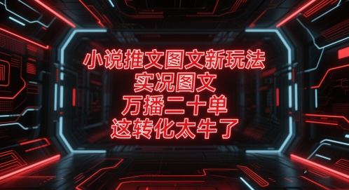 小说推文图文新玩法，实况图文，万播二十单，这转化太牛了！-占领资源网