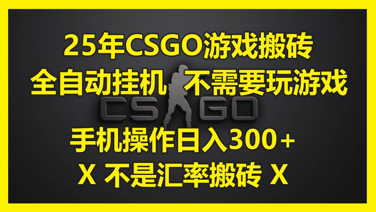 （14902期）25年CSGO游戏搬砖，全自动挂机，不需要玩游戏，手机操作日入300+。(不…-占领资源网