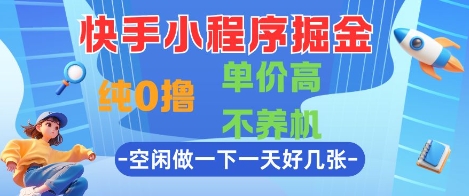快手小程序掘金，纯0撸，单价高不养机 利用空闲时间做一做，一天好几张【揭秘】-占领资源网
