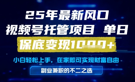 25年最新风口，视频号托管项目，单日保底变现1k+，手把手教学【揭秘】-占领资源网