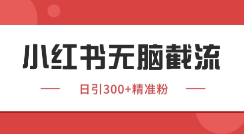 小红书截流同行客源，独家野路子获客玩法 日引200+暴力获客【揭秘】-占领资源网