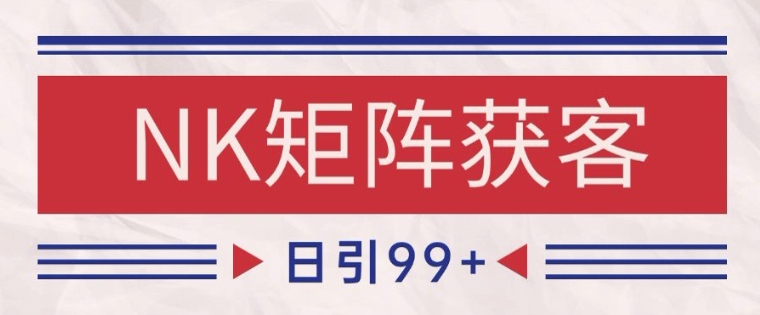 小红书某音NK赛道引流获客 自热矩阵日引200+【揭秘】-占领资源网