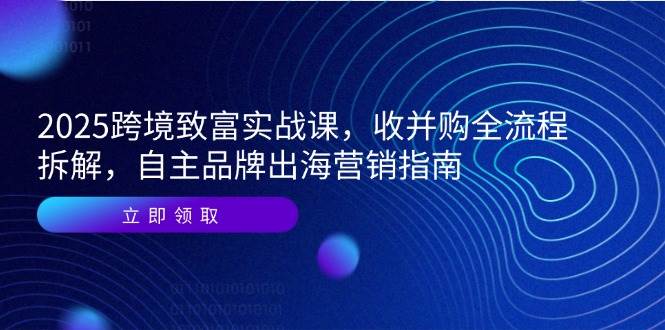 （14975期）2025跨境致富实战课，收并购全流程拆解，自主品牌出海营销指南-占领资源网