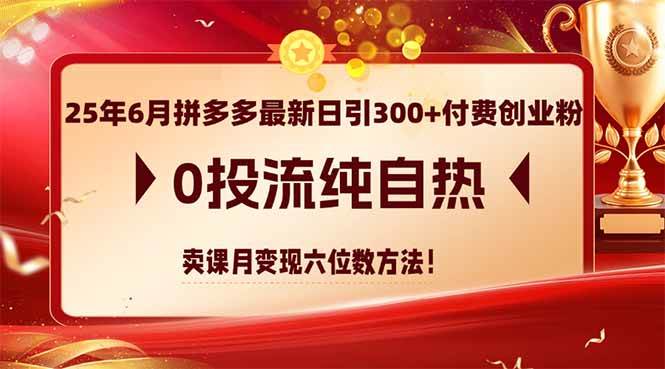 （14989期）25年6月拼多多最新日引300+付费创业粉，0投流纯自热 卖课月变现六位数方法-占领资源网