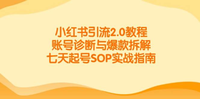 小红书引流2.0教程，账号诊断与爆款拆解，七天起号SOP实战指南-占领资源网