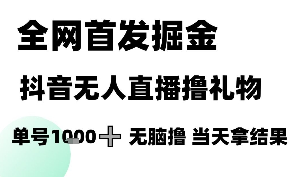 全网首发掘金抖音无人直播撸礼物，单号1k +无脑撸，当天拿结果【揭秘】-占领资源网