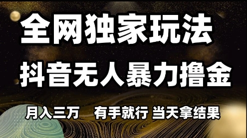 全网独家玩法抖音无人暴力撸金，月入3W，有手就行，当天拿结果【揭秘】-占领资源网