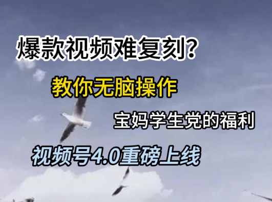 视频号4.0重磅上线，爆款视频难复刻？教你无脑操作宝妈学生党的福利【揭秘】-占领资源网