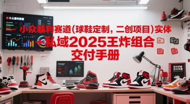 小众暴利赛道(球鞋定制，二创项目)实体+私域2025王炸组合  交付手册-占领资源网