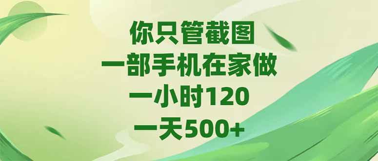 （15039期）你只管截图，一部手机在家做，一小时120，-天500+-占领资源网