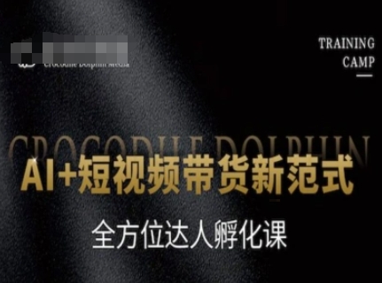AI+短视频带货新范式，全方位达人孵化课-占领资源网