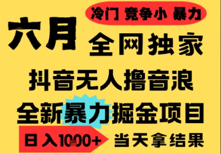 25年6月高爆抖音无人直播最新撸音浪掘金项目，小白可做，无脑日入1k+，门槛低可批量矩阵【揭秘】-占领资源网