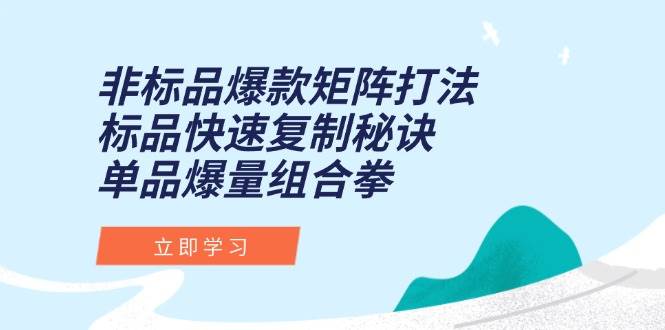 （15068期）非标品爆款矩阵打法，标品快速复制秘诀，单品爆量组合拳-占领资源网