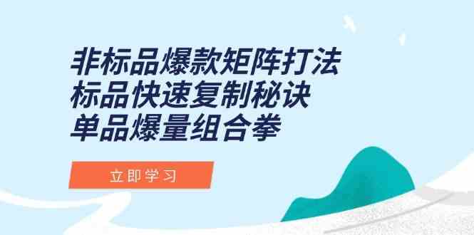 非标品爆款矩阵打法，标品快速复制秘诀，单品爆量组合拳-占领资源网