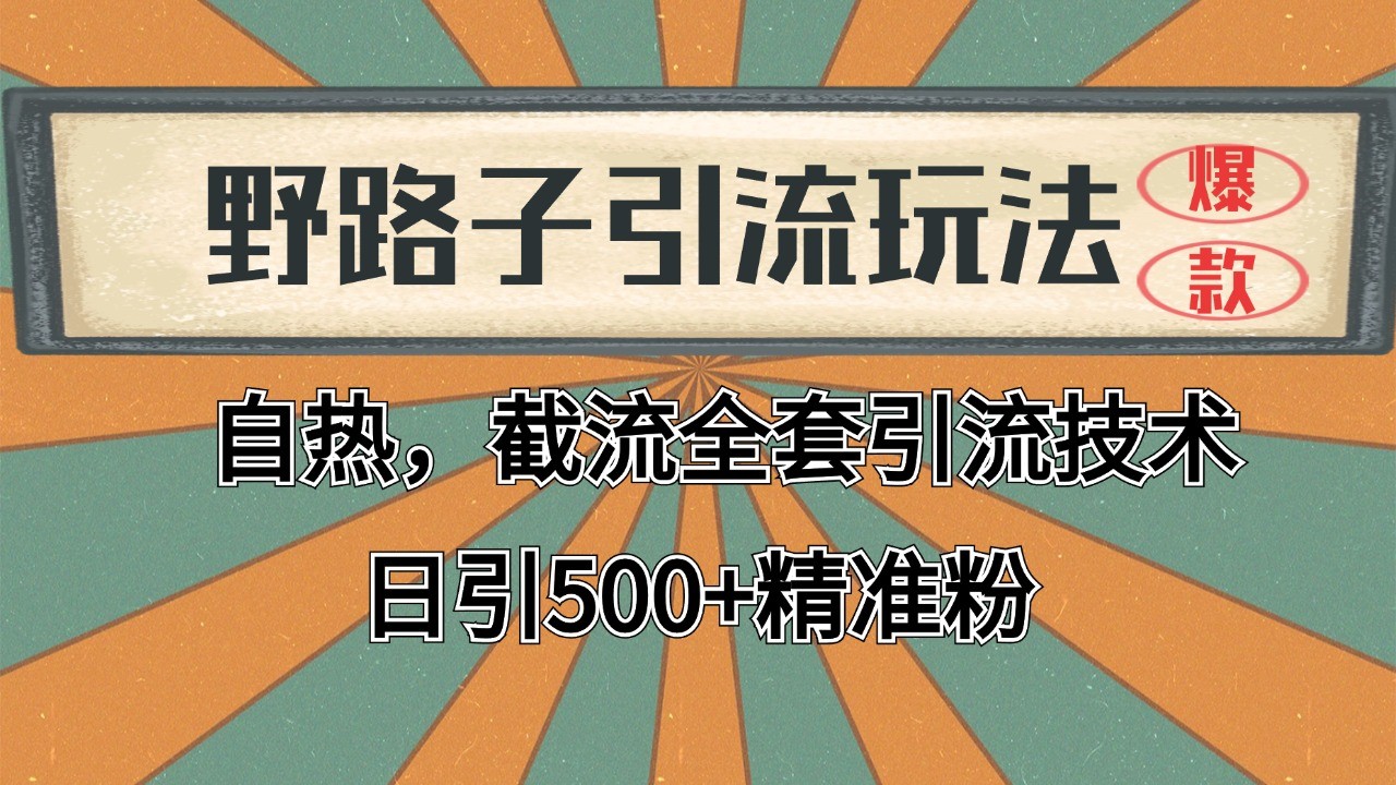 2024首发野路子引流玩法截流自热全平台打法，全自动引流【日引2000+精准客户】-占领资源网