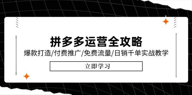 （15085期）拼多多运营全攻略，爆款打造/付费推广/免费流量/日销千单实战教学/6月更新-占领资源网